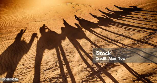 Shadows Of Camels And People In Sahara Desert Morocco Stock Photo - Download Image Now