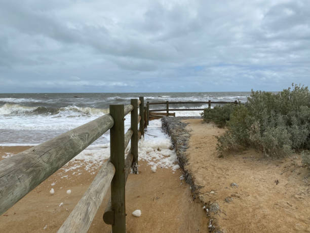 dzień blustery na plaży - blustery zdjęcia i obrazy z banku zdjęć