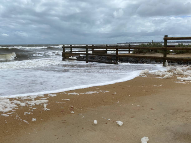 dzień blustery na plaży - blustery zdjęcia i obrazy z banku zdjęć