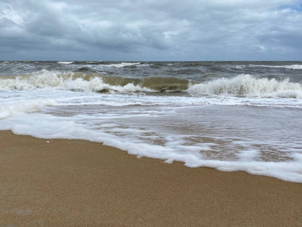 dzień blustery na plaży - blustery zdjęcia i obrazy z banku zdjęć