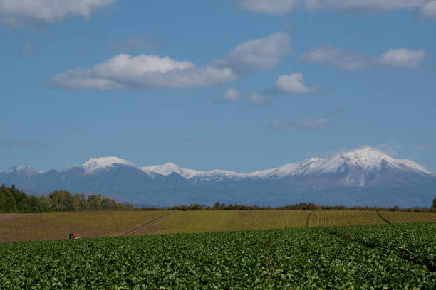 istock Autumn fields and snow-capped mountains 1346856161