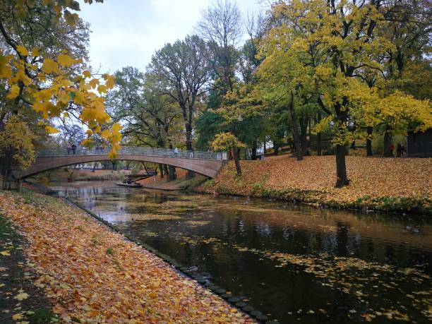 istock Park scene with a river in the autumn 1346857244
