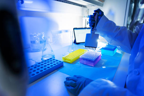 Researcher at work in DNA genetic laboratory: virus and pathogen detection Researcher at work in DNA genetic laboratory: virus and pathogen detection dna sequencing gel stock pictures, royalty-free photos & images