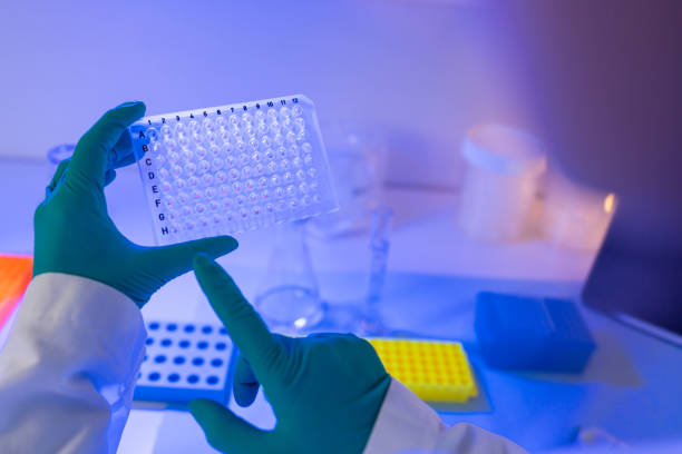 istock Researcher at work in DNA genetic laboratory: virus and pathogen detection 1346858245
