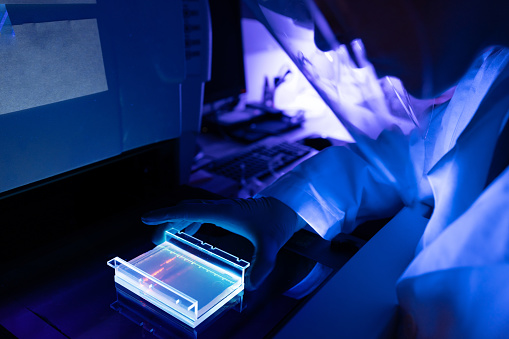 Researcher at work in DNA genetic laboratory: DNA virus detection