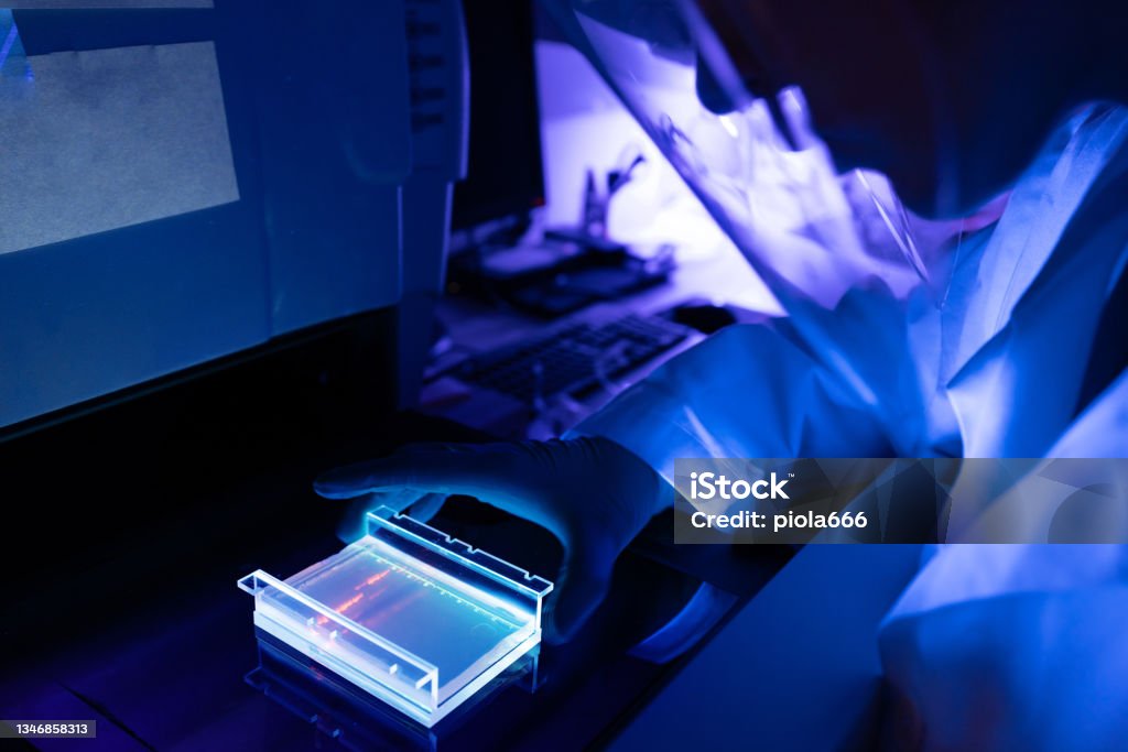 Researcher at work in DNA genetic laboratory: DNA virus detection Polymer Sequencing Stock Photo