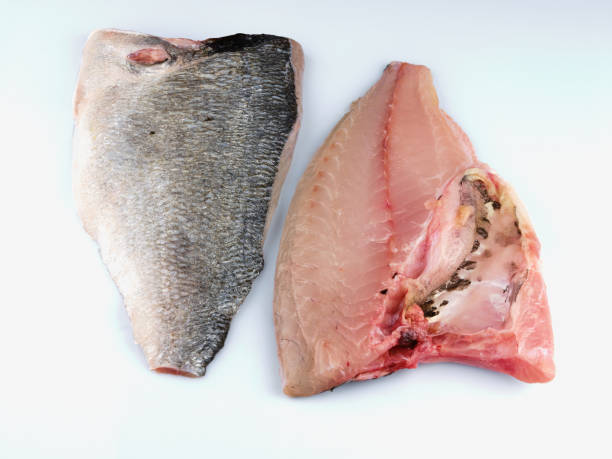 istock Sea Bream Fillet on white background. Fish. Gilthead. 1346860203