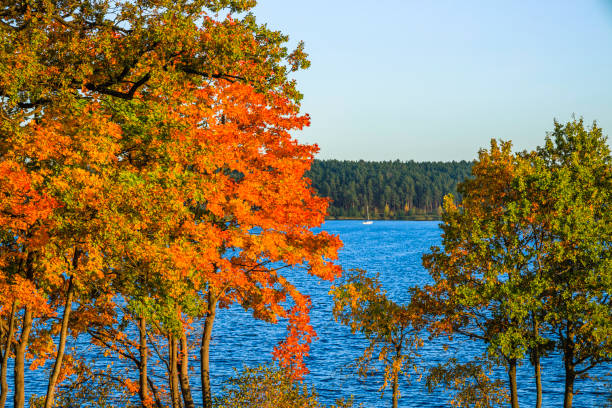 istock autumn landscape with colorful trees and sailing boat 1346860587