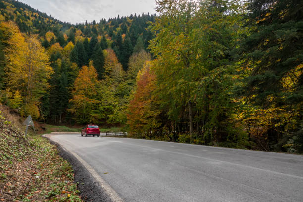 istock An asphalt road in the forest in autumn. 1346863815