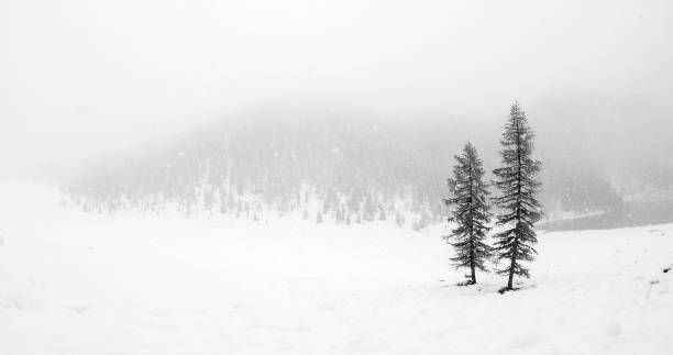 istock Misty day on alpine lake 1346864892