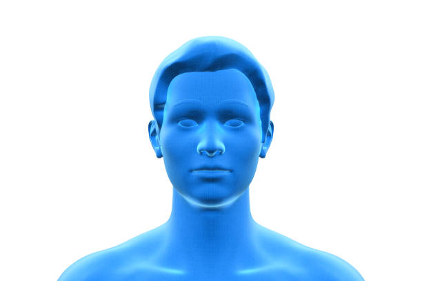 istock Man, Head of Human Male, 3D 1346865884