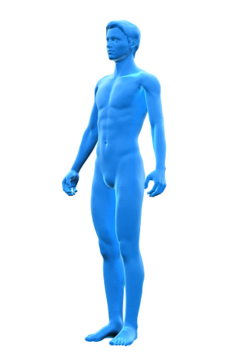 3D model of man’s body. Isolated on white background
