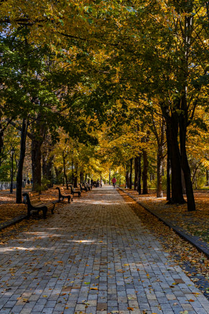 istock Golden autumn in Khreshchaty park 1346872533