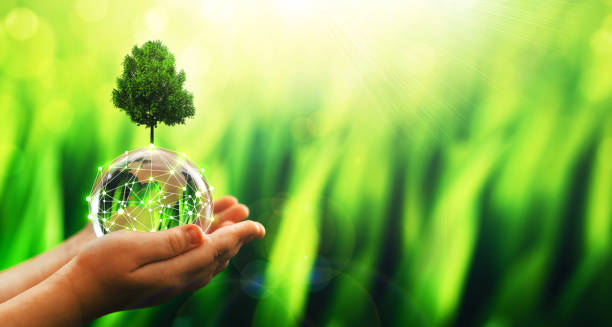 istock Global communication network. Hands holding crystal earth globe and circle global network connection.Energy and ecology concept. Protecting earth planet  and development ecological energy 1346872718