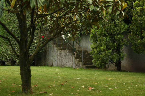 istock a peaceful staircase and fallen tree leaves among the grass and trees 1346873898