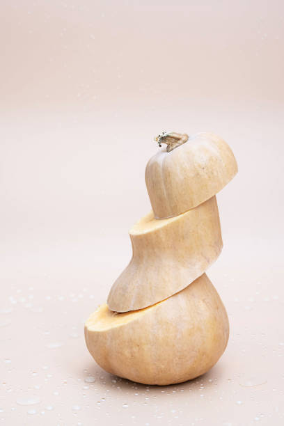 istock Pumpkin creative still life. Minimal fall season holiday concept. 1346878601