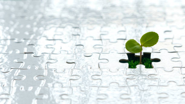 istock A small plant on an empty space of white puzzle. 1346881563