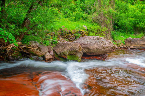 Beautiful stream in the Stara Planina mountain massif, Kovani Dol, in the south-eastern Serbia.
