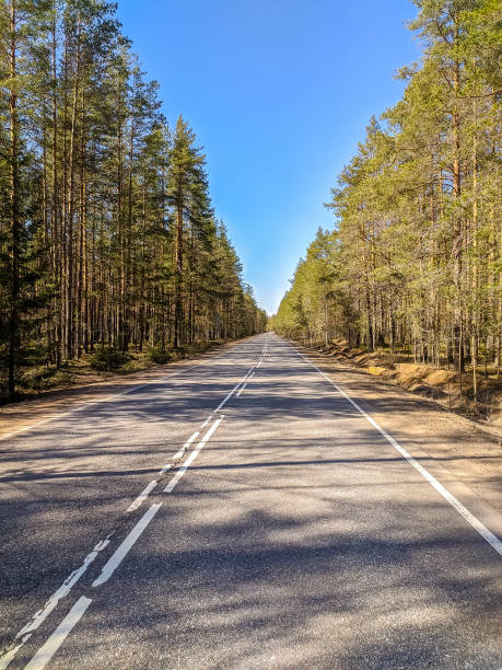 istock Beautiful view of forest road 1346881883