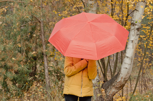 Young woman in an autumn park with red an umbrella, spinning and holding an umbrella, autumn walk in a yellow October park