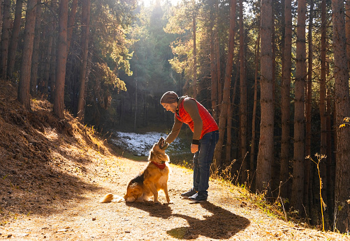 Man playing with dog in forest lit by sunlight. Autumn season