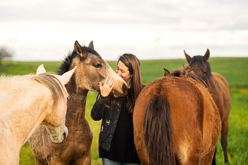 Young female farmer kissing a horse while tending to her herd outside  in a pasture on a farm in the morning
