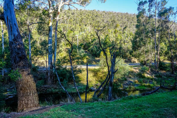 istock The landscape in Australia in summer. 1346891524
