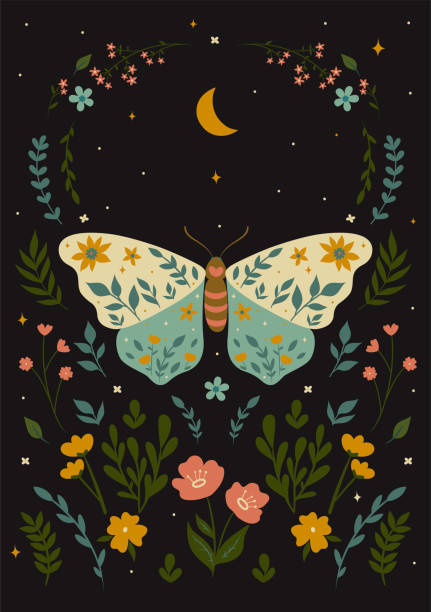 postcard with a butterfly in boho style. vector graphics. - gece illüstrasyonlar stock illustrations