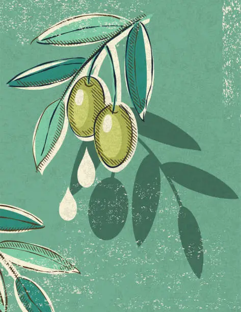 Vector illustration of Vintage Style Olives With Copy Space