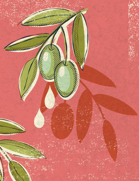 Vintage Style Olives With Copy Space Old fashioned Label with Olives and room for text. Hand drawn in flat colors. Elemnts can be released form the clipping mask if needed. olive oil labels clip art stock illustrations