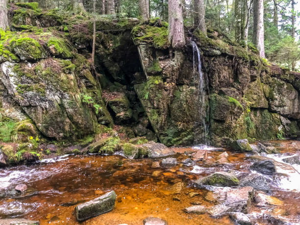istock A river with waterfalls through the Black Forest. 1346896318