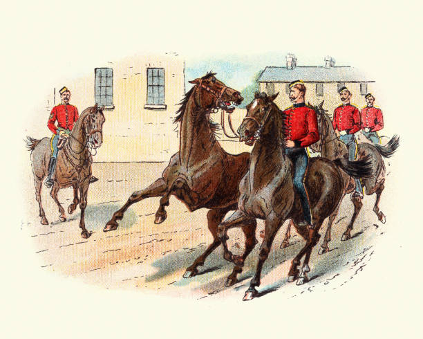 kawalerzysta z niesfornym koniem, wiktoriańskie brytyjskie wojsko 19th century - warhorse stock illustrations