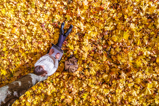 Top view. Beautiful young student woman with laptop sitting under tree  on the autumn maple leaves in the park. Aerial, drone view