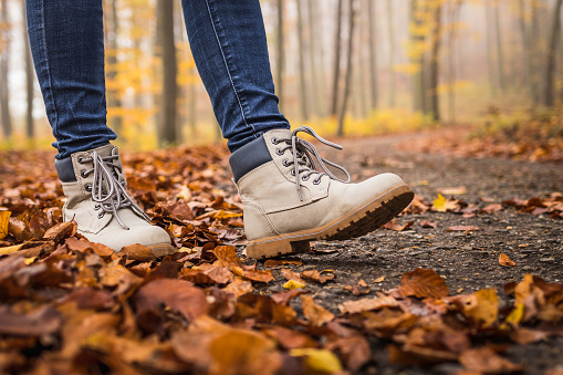Walk with hiking boots on road at autumn forest. Leather shoes in fallen leaves