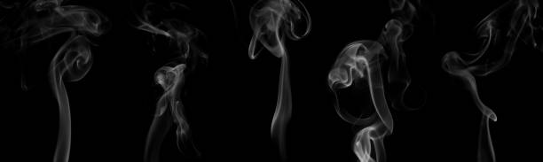swirling movement of white smoke group Collection swirling movement of white smoke group, abstract line Isolated on black background fog transparent stock pictures, royalty-free photos & images