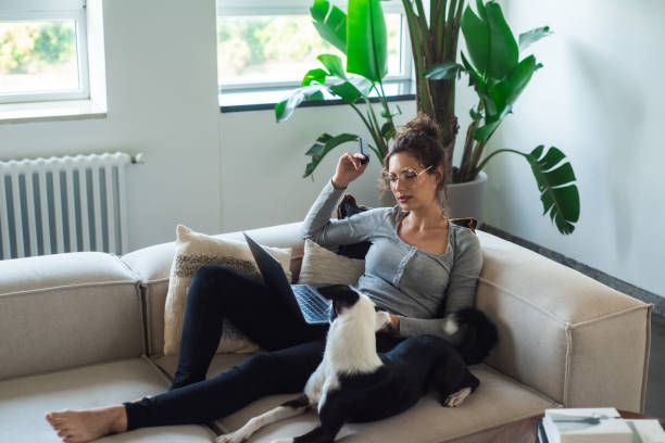 istock Ordering Online at Home with Puppy 1346905502