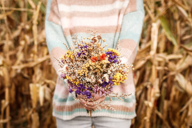 kobieta z dzianinowym swetrem trzymająca bukiet suszonych kwiatów na zewnątrz - autumn clothing corn crop fashion zdjęcia i obrazy z banku zdjęć