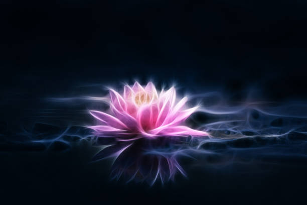 istock Pink lotus flower dark background pictorial rendering 1346907578