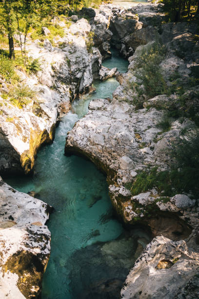 istock Aerial view of river flowing down canyon, in summer 1346907719