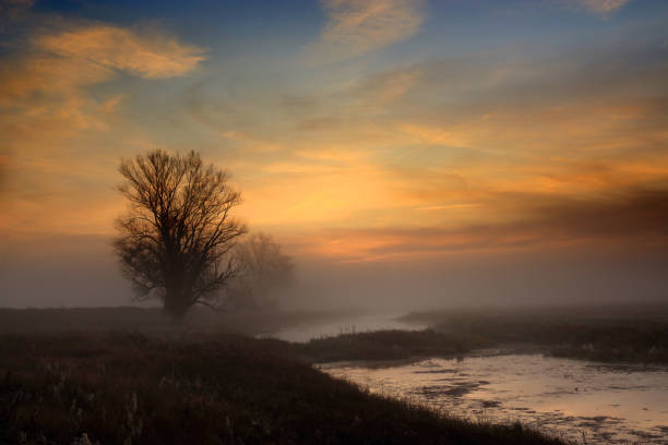 istock Colorful sunrise by the field, Poland 1346910121