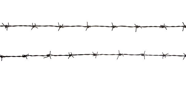 Old rusted black barbed wire fence. Security, isolated on white background.