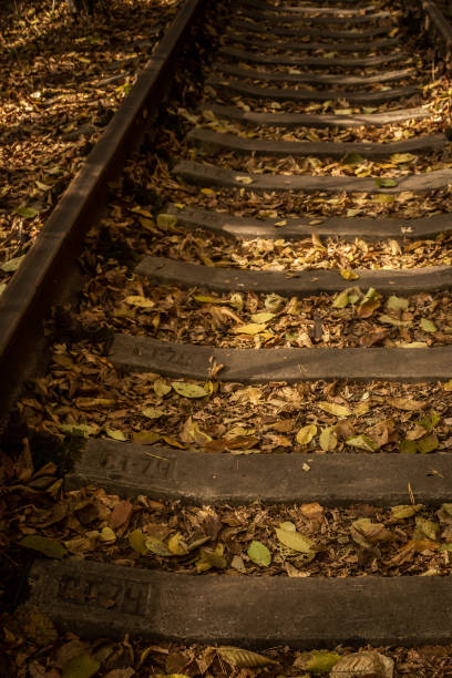 istock Dead foliage on the railway in autumn 1346912427