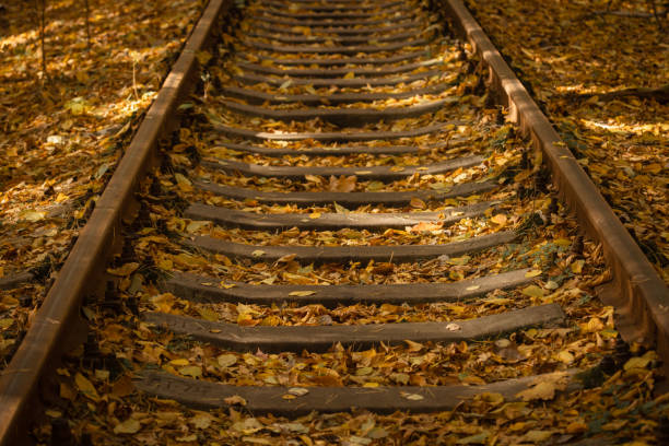 istock Dead foliage on the railway in autumn 1346913793