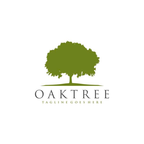 オークツリー ロゴ アイコン ベクトル - autumn oak tree sun点のイラスト素材／クリップアート素材／マンガ素材／アイコン素材