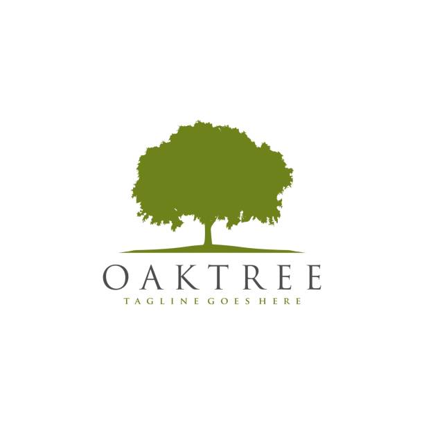 ilustrações, clipart, desenhos animados e ícones de vetor de ícone do logotipo do carvalho - oak tree