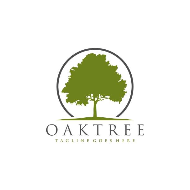 illustrations, cliparts, dessins animés et icônes de icône de logo de chêne vecteur - autumn oak tree sun