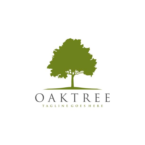 ilustrações de stock, clip art, desenhos animados e ícones de oak tree logo icon vector - autumn sun oak tree