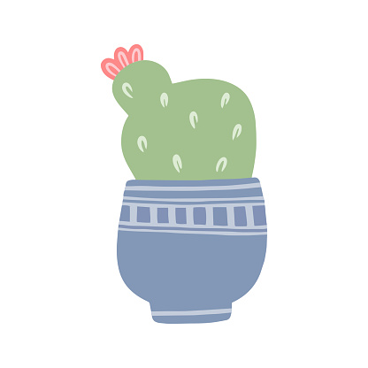 Hand drawn colorful potted flower, cacti, succulent isolated on a white background. Simple doodle illustration that can be used for decoration of textile, paper and other surfaces.