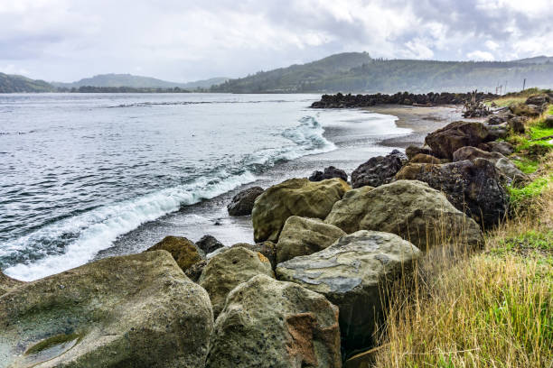 istock Sekiu Ocean Landscape 7 1346921799