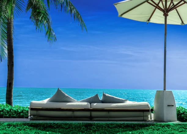 sofy z leżakami z widokiem na plażę, morze, parasole plażowe, drzewa kokosowe i zieloną trawę. błękitne niebo i trawa - thailand surat thani province ko samui coconut palm tree zdjęcia i obrazy z banku zdjęć